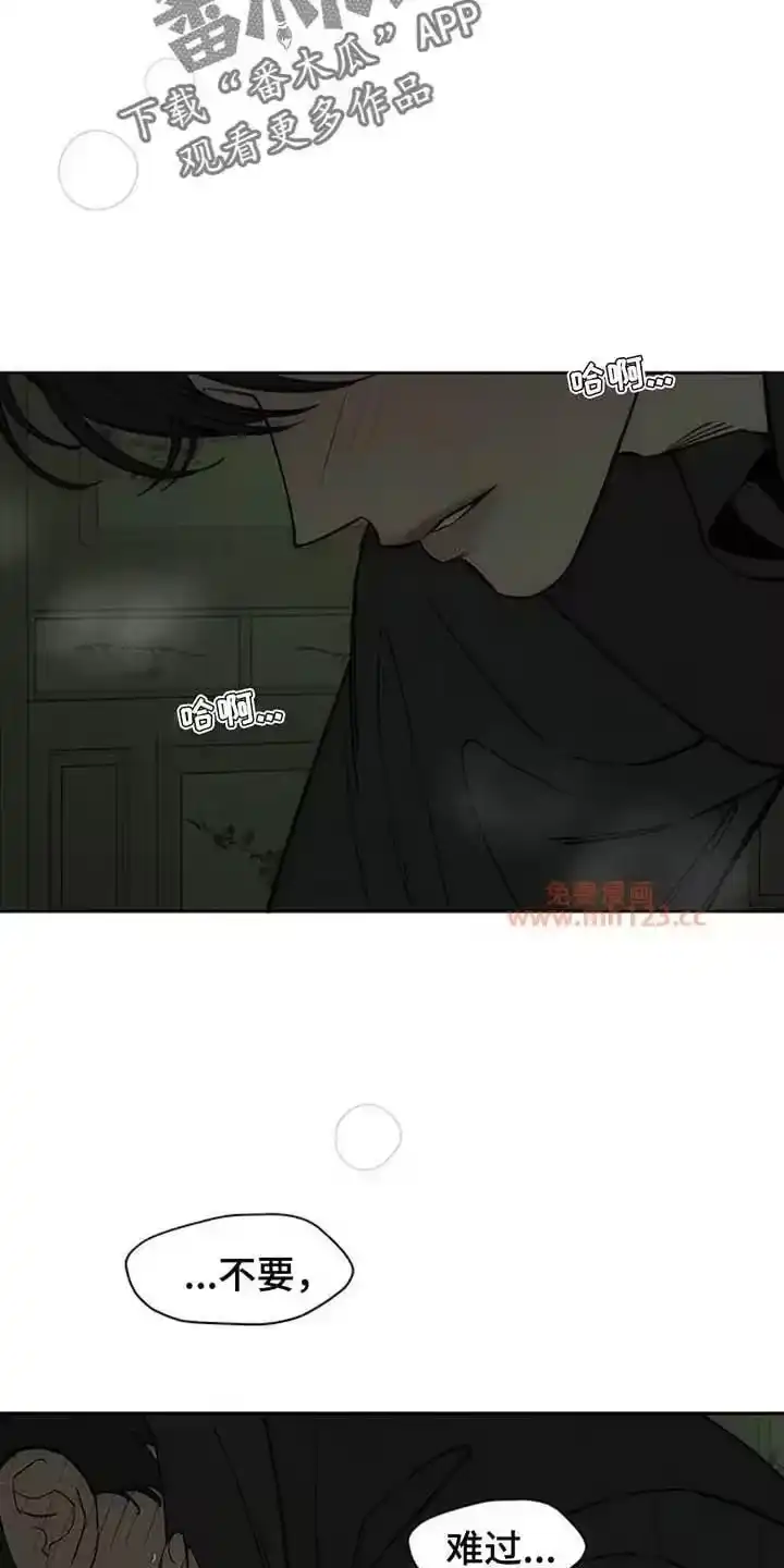 枯萎的花伤心的泪_h 第209章：你不是我的菜 第8页