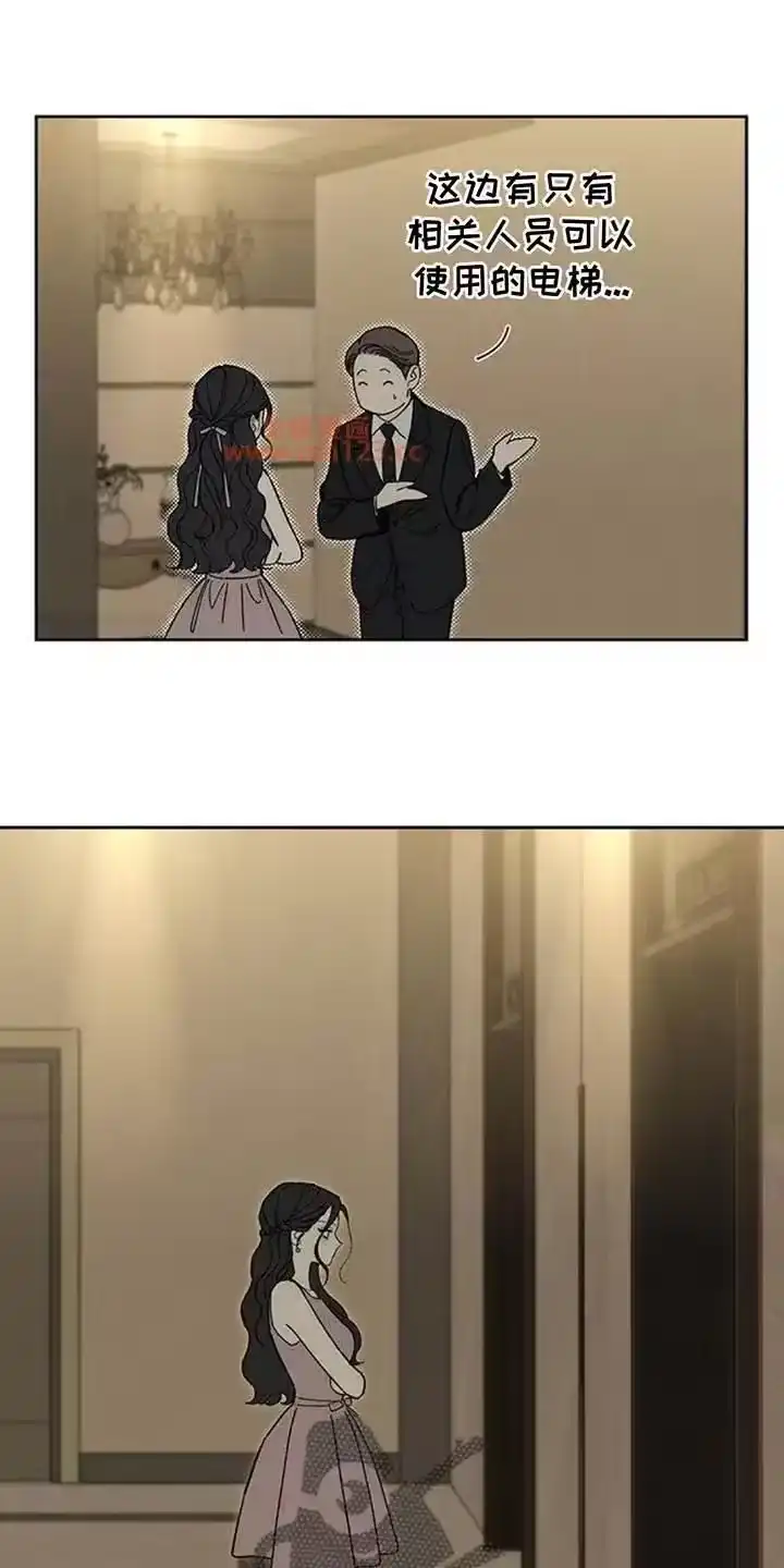 枯萎的花伤心的泪_h 第221章：疯子小姐 第1页
