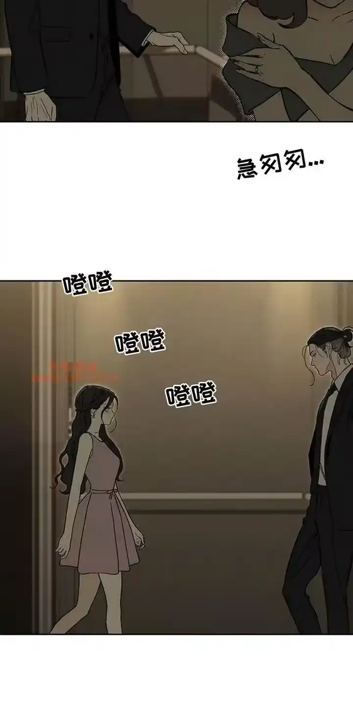 枯萎的花伤心的泪_h 第221章：疯子小姐 第14页