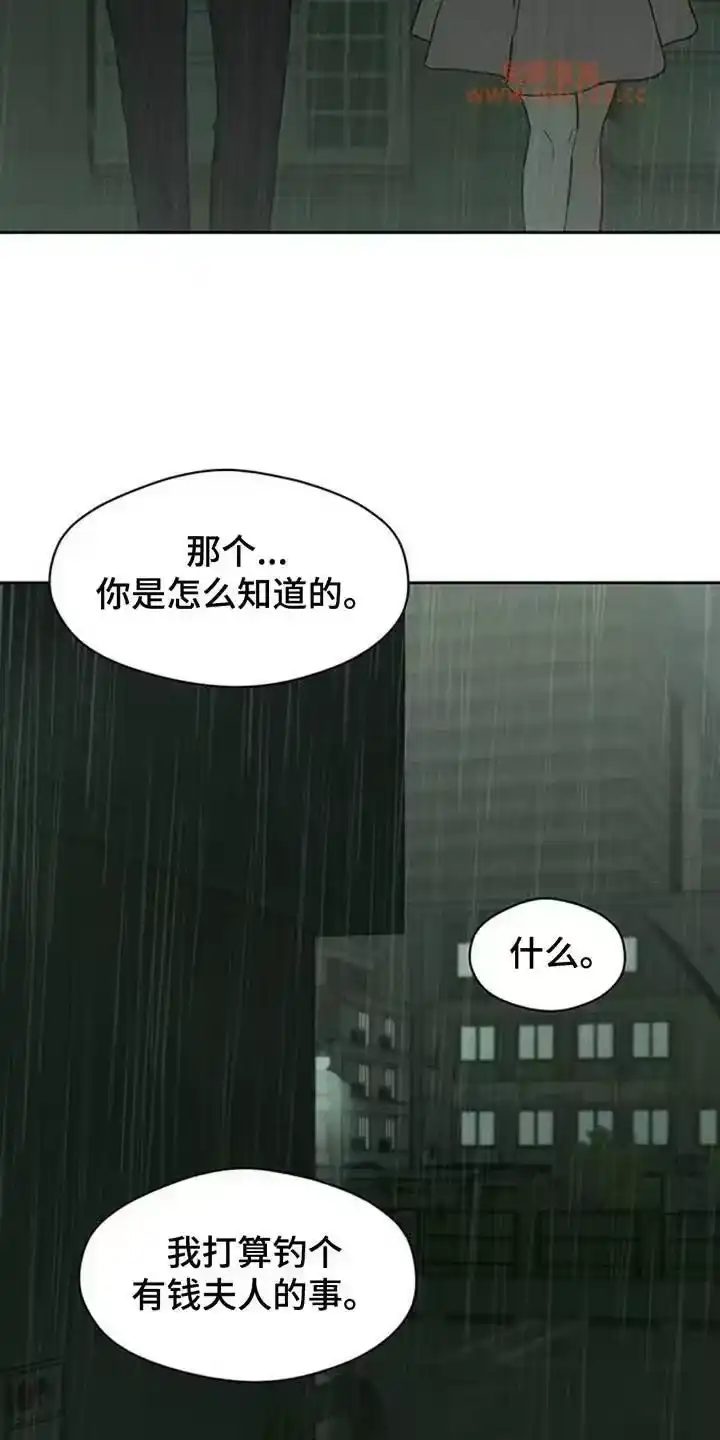 枯萎的花伤心的泪_h 第221章：疯子小姐 第25页
