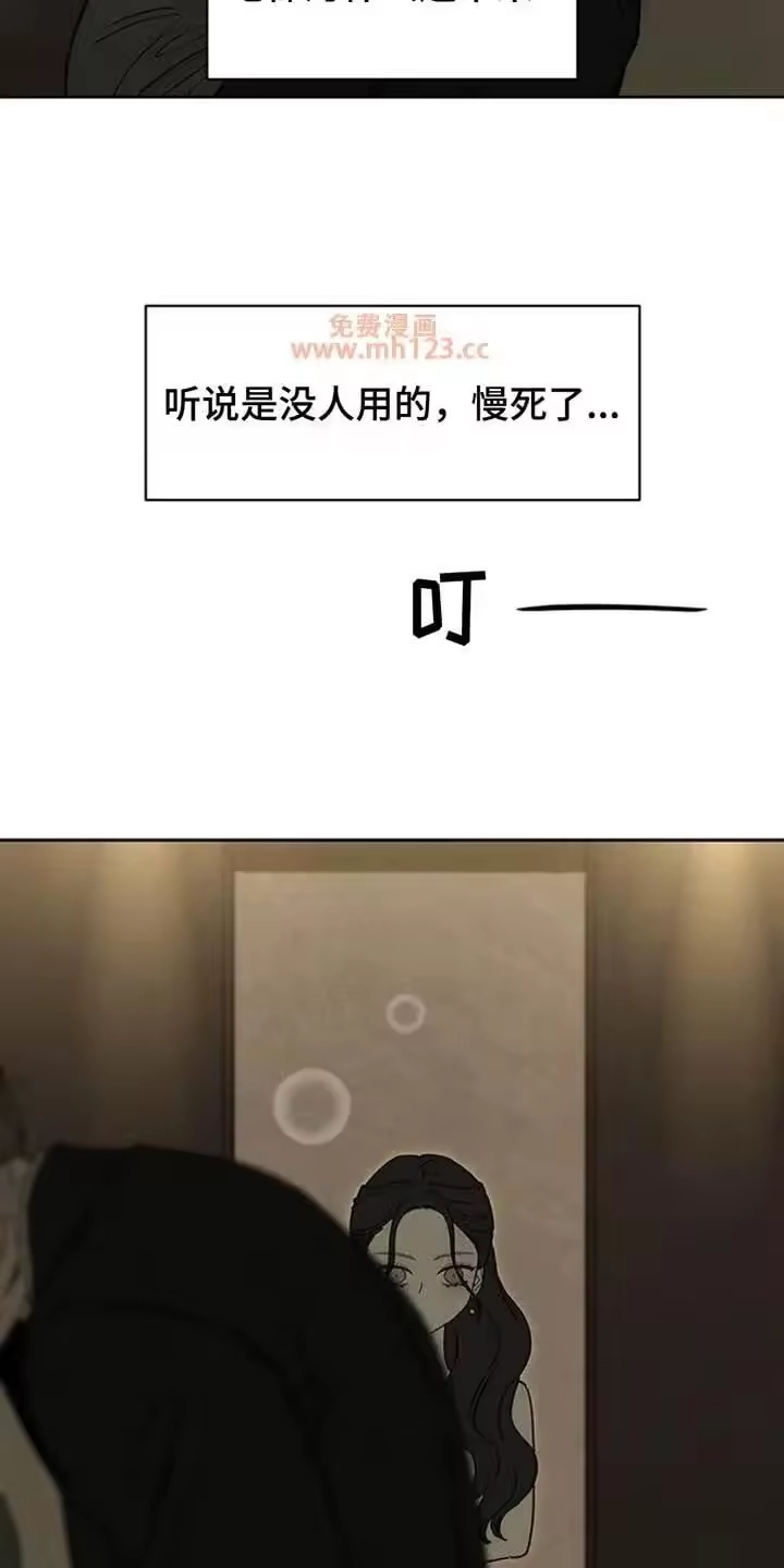 枯萎的花伤心的泪_h 第221章：疯子小姐 第6页