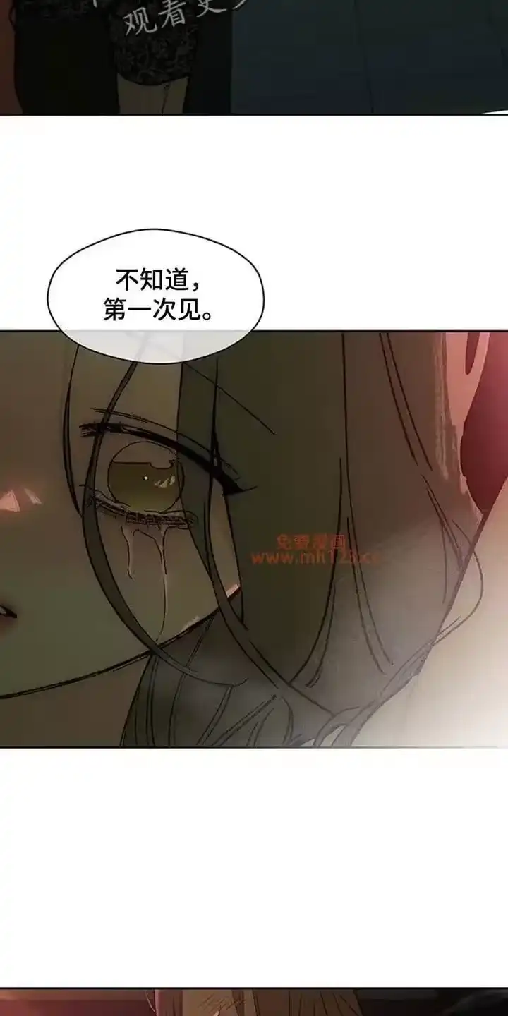 枯萎的花伤心的泪_h 第234章：我应该怎么做 第3页
