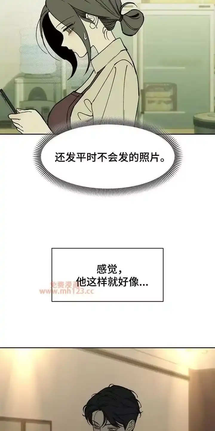 枯萎的花伤心的泪_h 第212章：照片分享 第22页