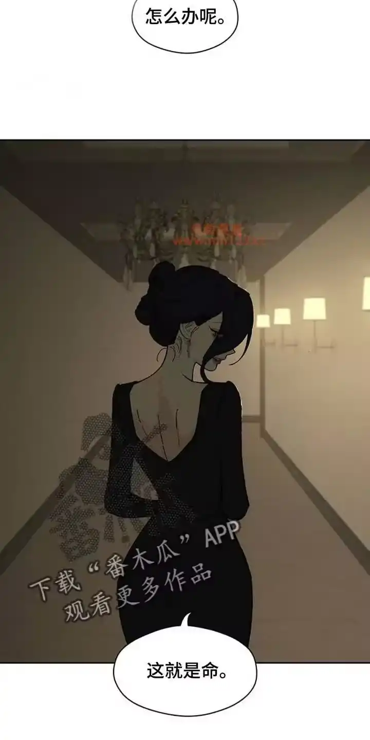 枯萎的花伤心的泪_h 第222章：这就是命 第19页