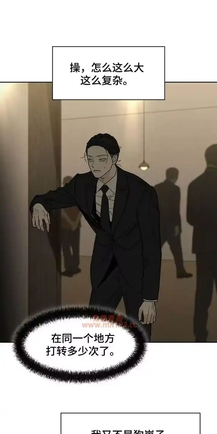 枯萎的花伤心的泪_h 第223章：预感 第15页