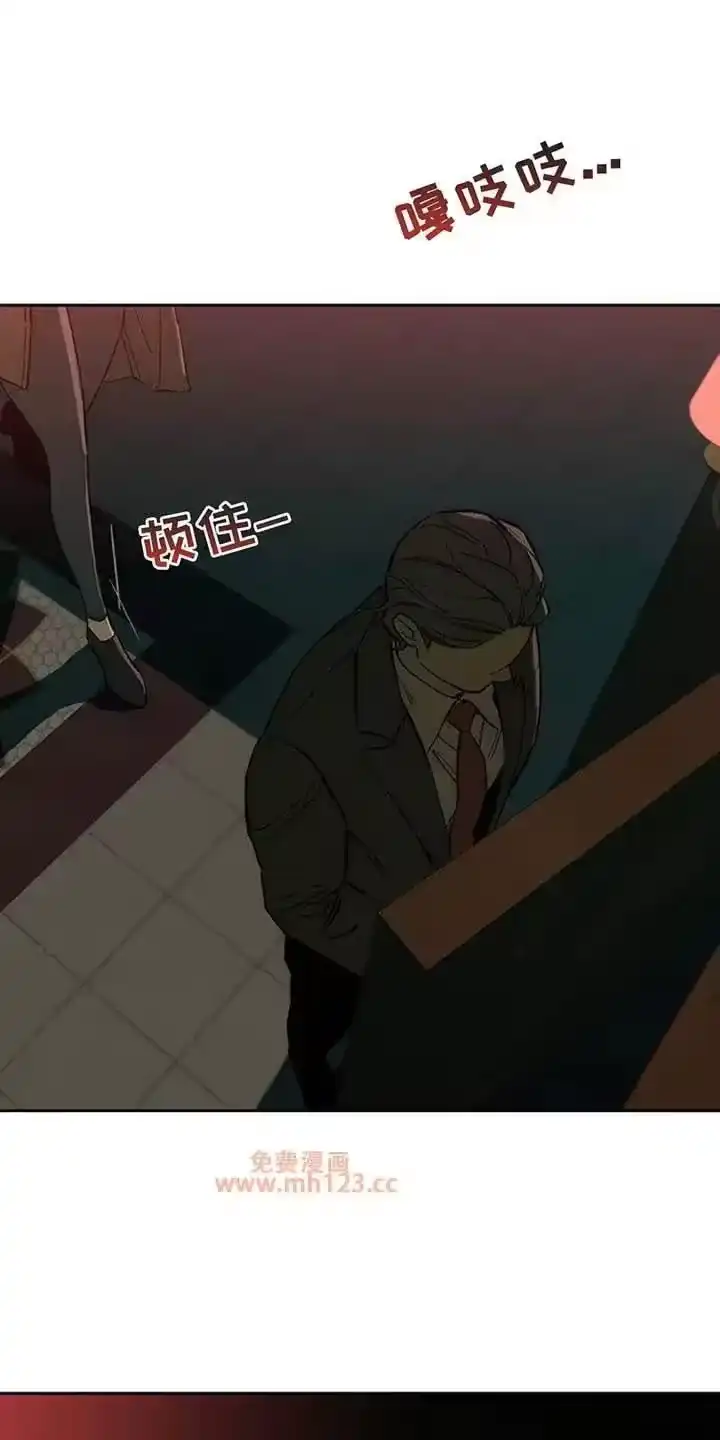 枯萎的花伤心的泪_h 第224章：原来在骗我 第1页