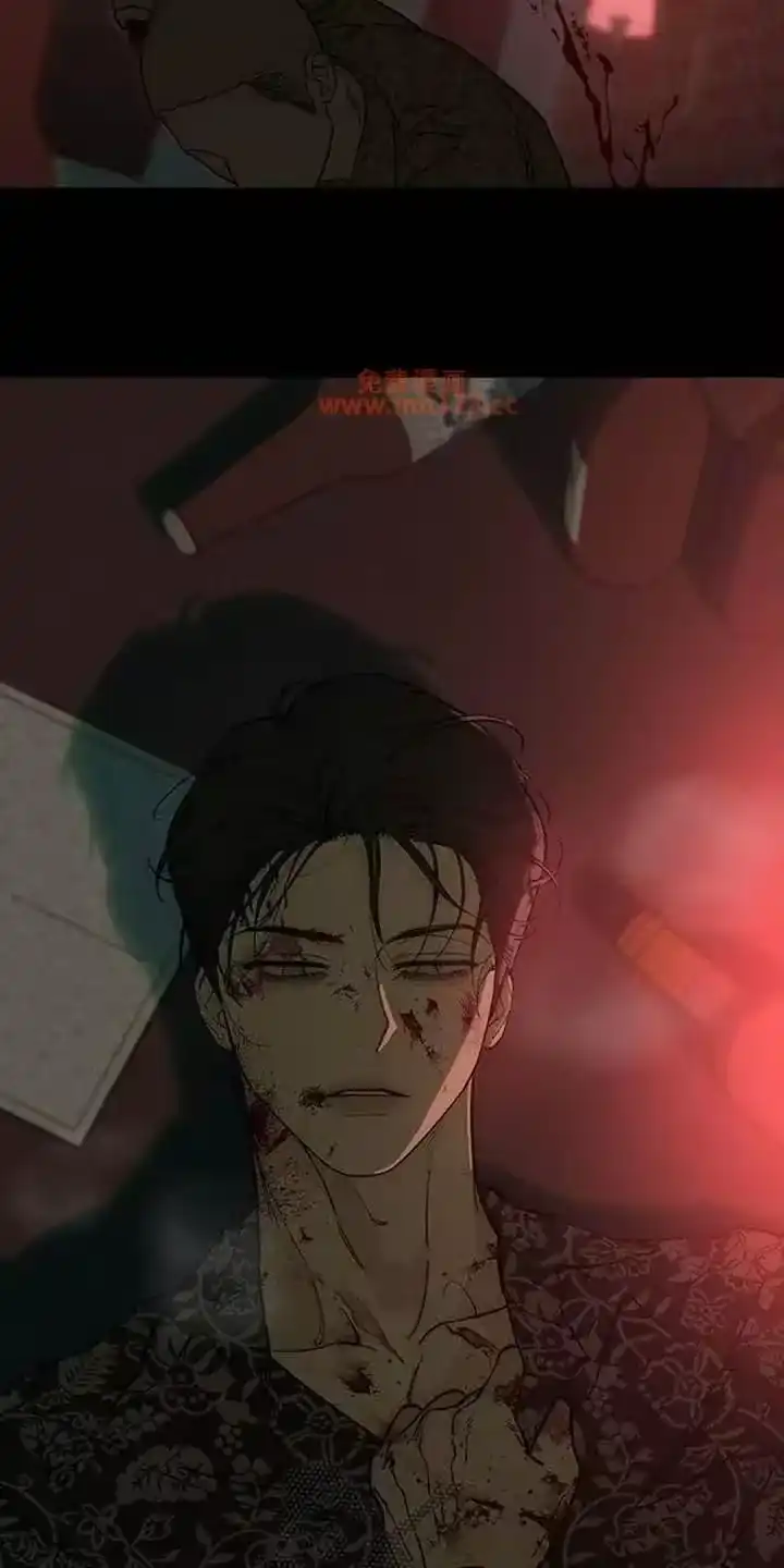 枯萎的花伤心的泪_h 第236章：我们逃跑吧 第5页