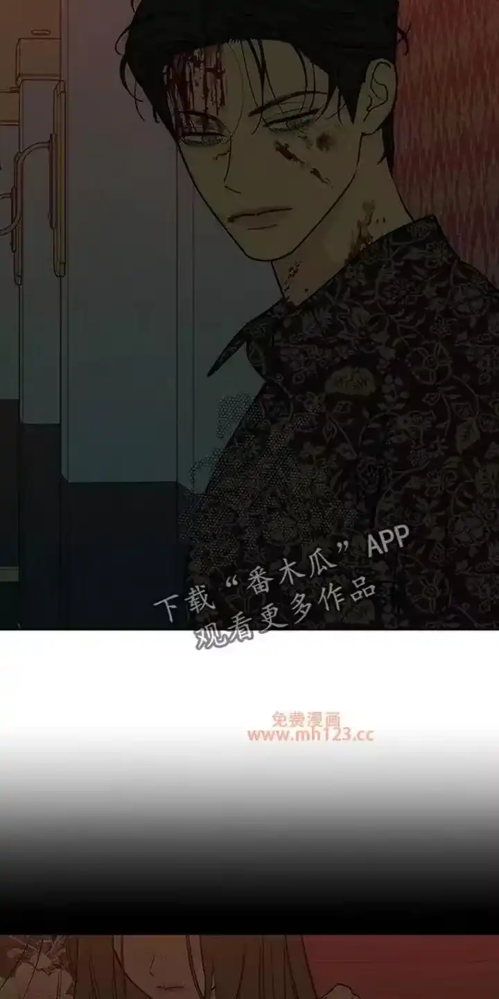 枯萎的花伤心的泪_h 第237章：找到你要找的人了吗 第4页