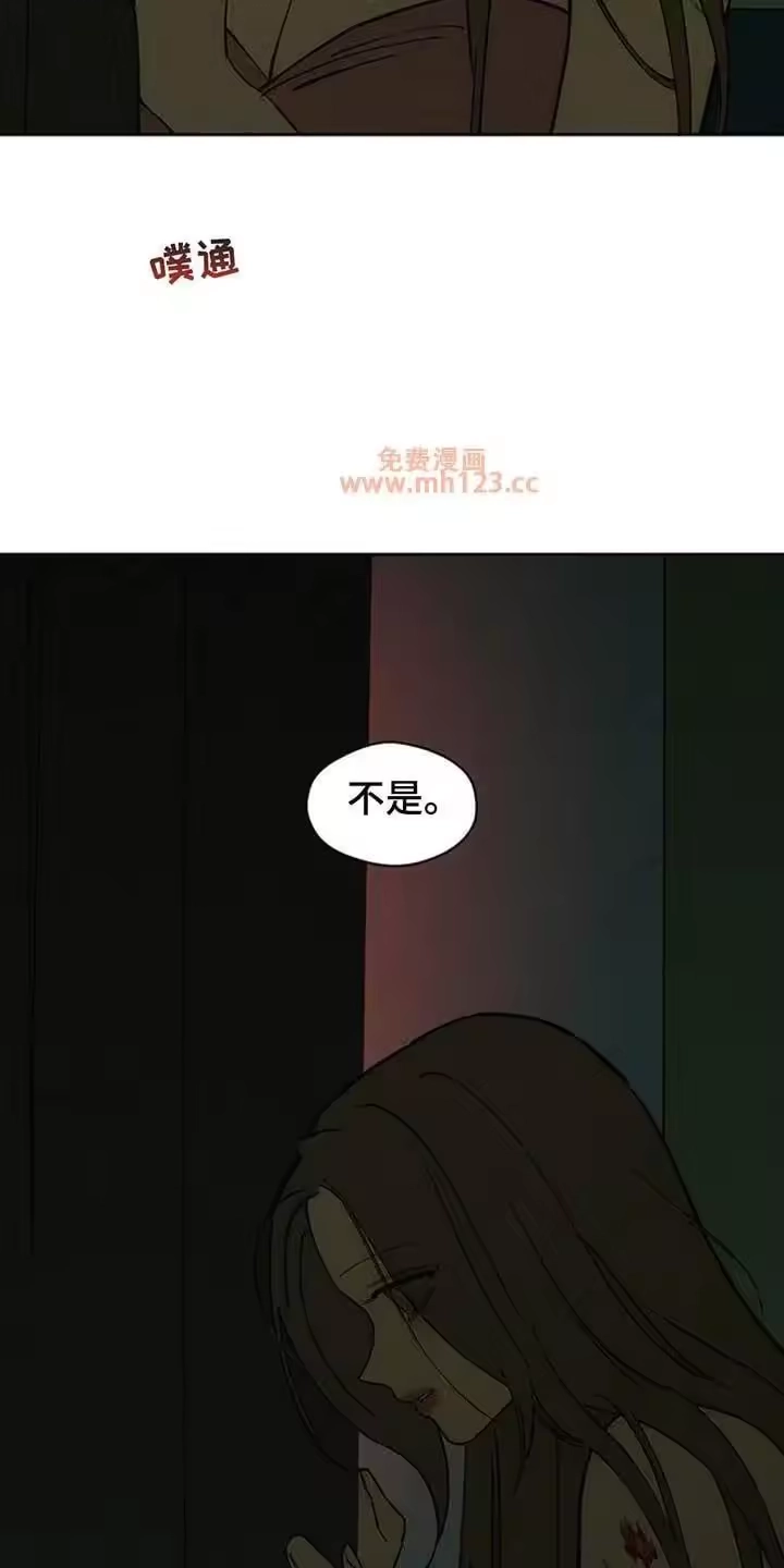 枯萎的花伤心的泪_h 第238章：我没办法见你 第5页