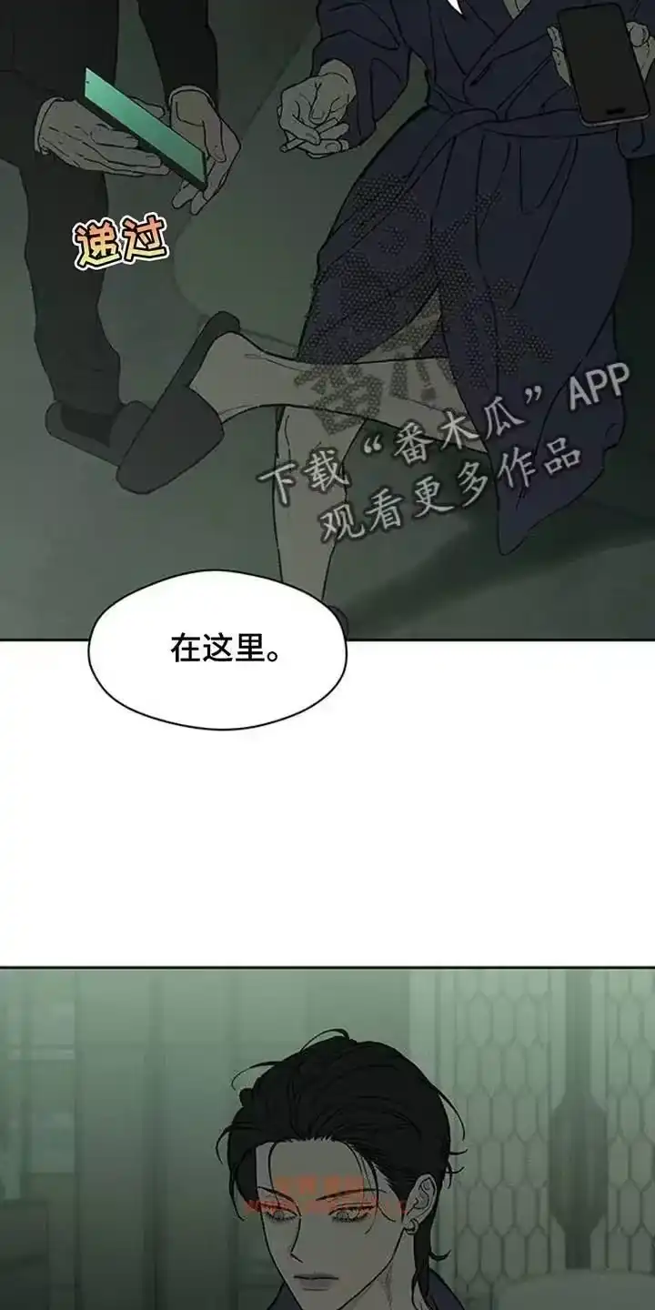 枯萎的花伤心的泪_h 第229章：总算能看了 第25页