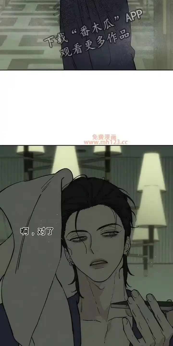 枯萎的花伤心的泪_h 第229章：总算能看了 第7页