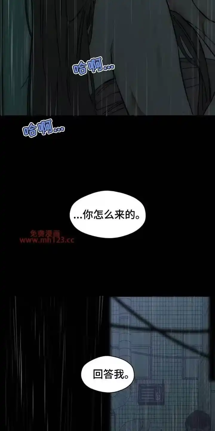 枯萎的花伤心的泪_h 第239章：我总是跟在你身后 第25页