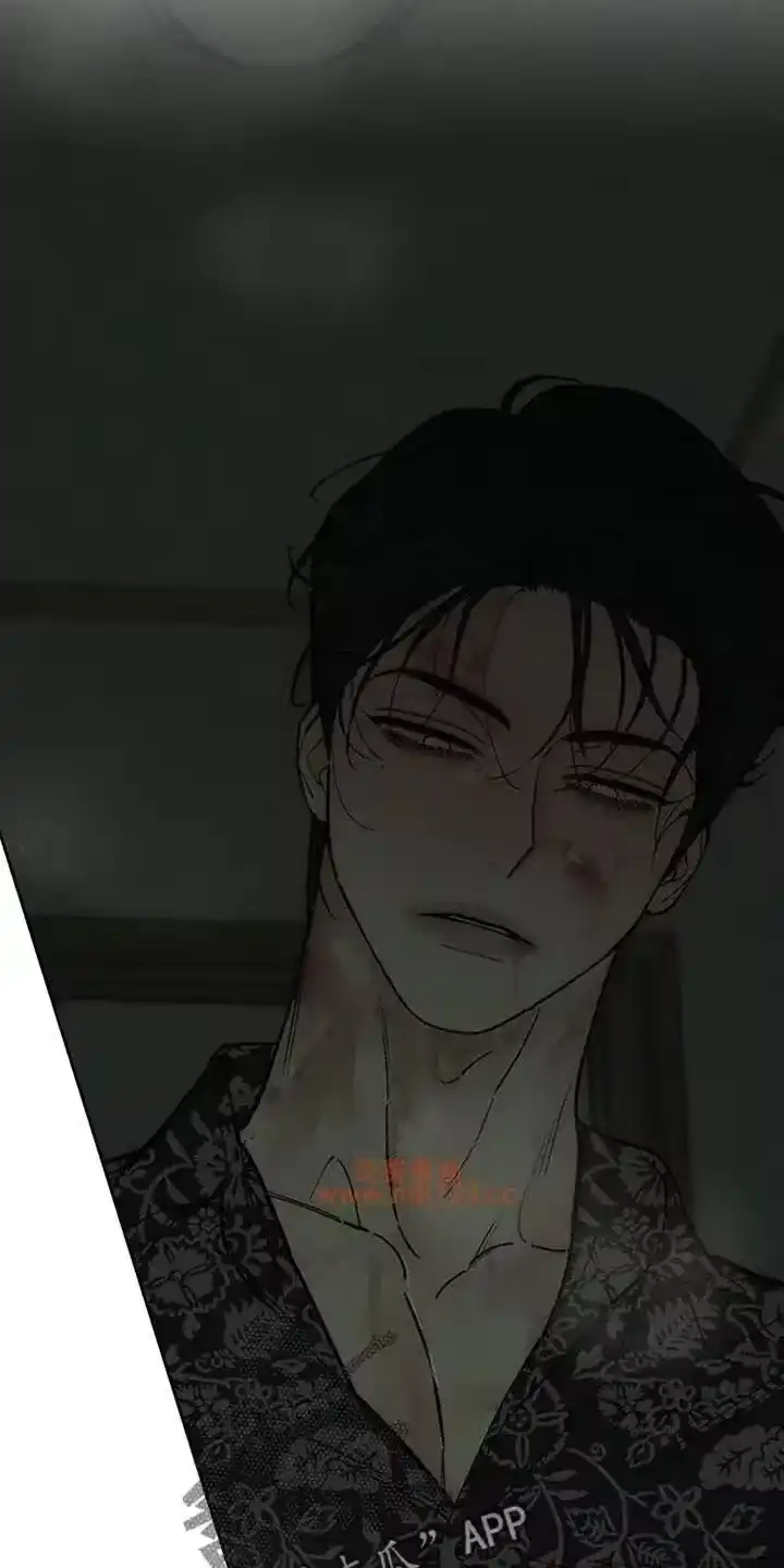 枯萎的花伤心的泪_h 第242章：故意不给我看 第11页