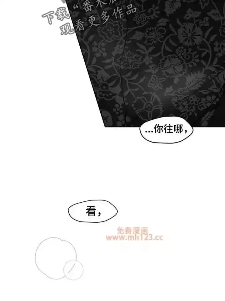 枯萎的花伤心的泪_h 第242章：故意不给我看 第12页