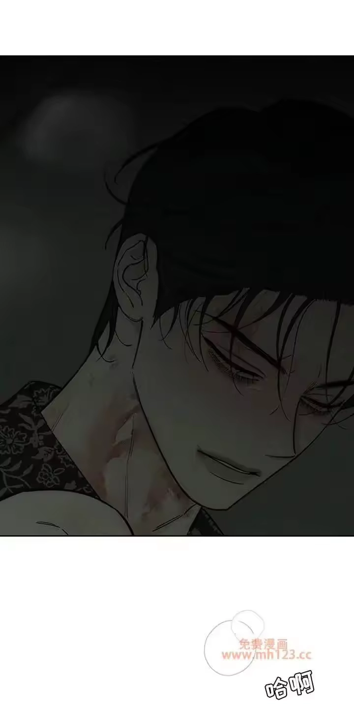 枯萎的花伤心的泪_h 第242章：故意不给我看 第13页