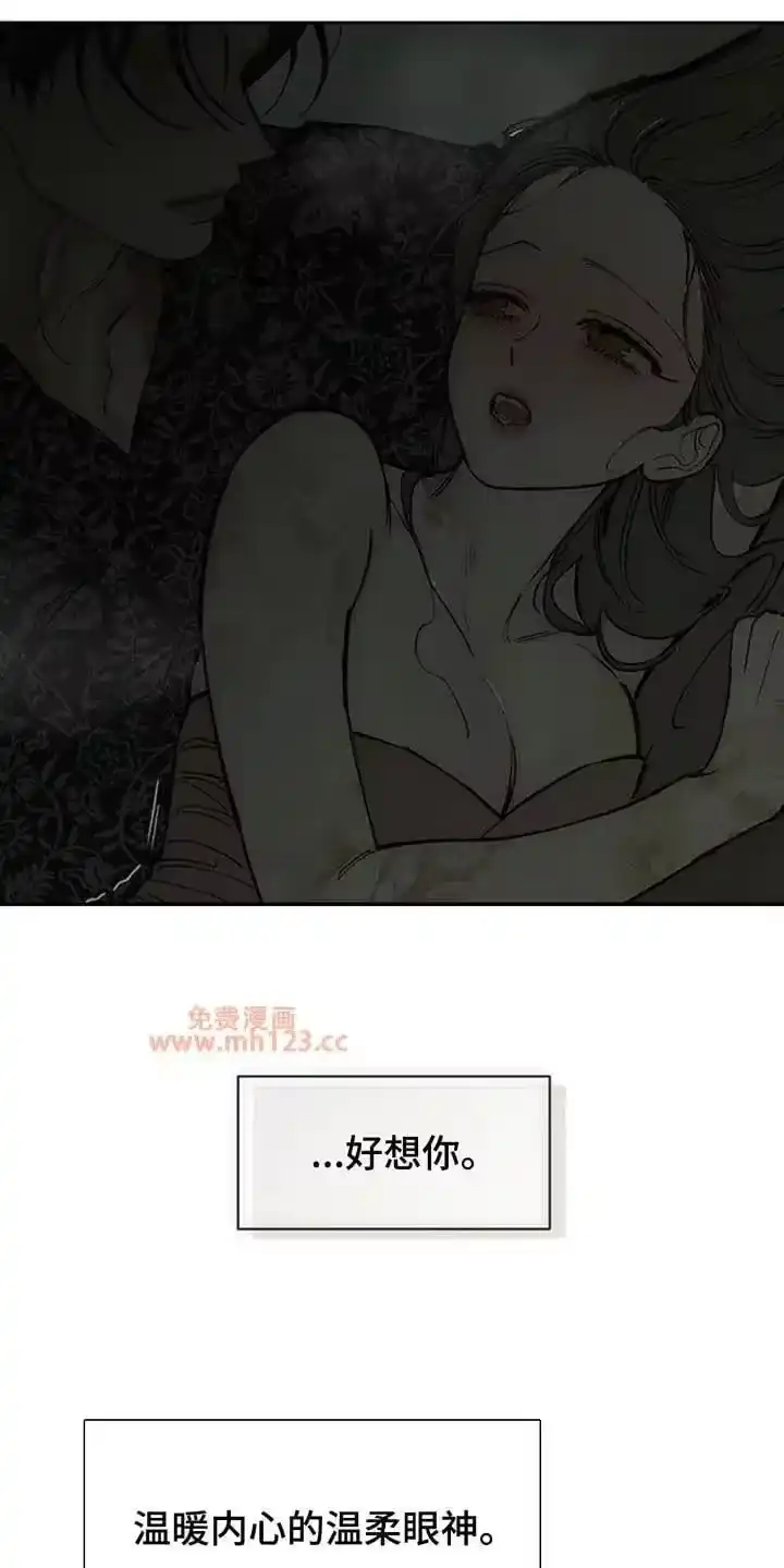 枯萎的花伤心的泪_h 第242章：故意不给我看 第14页