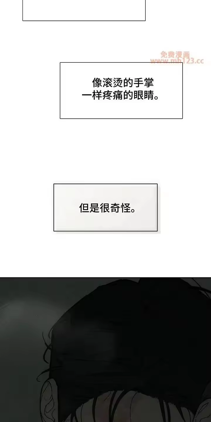 枯萎的花伤心的泪_h 第242章：故意不给我看 第15页