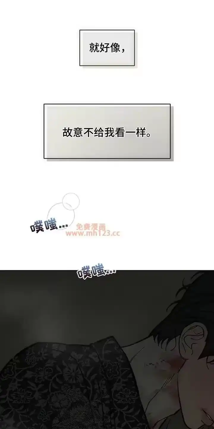 枯萎的花伤心的泪_h 第242章：故意不给我看 第17页