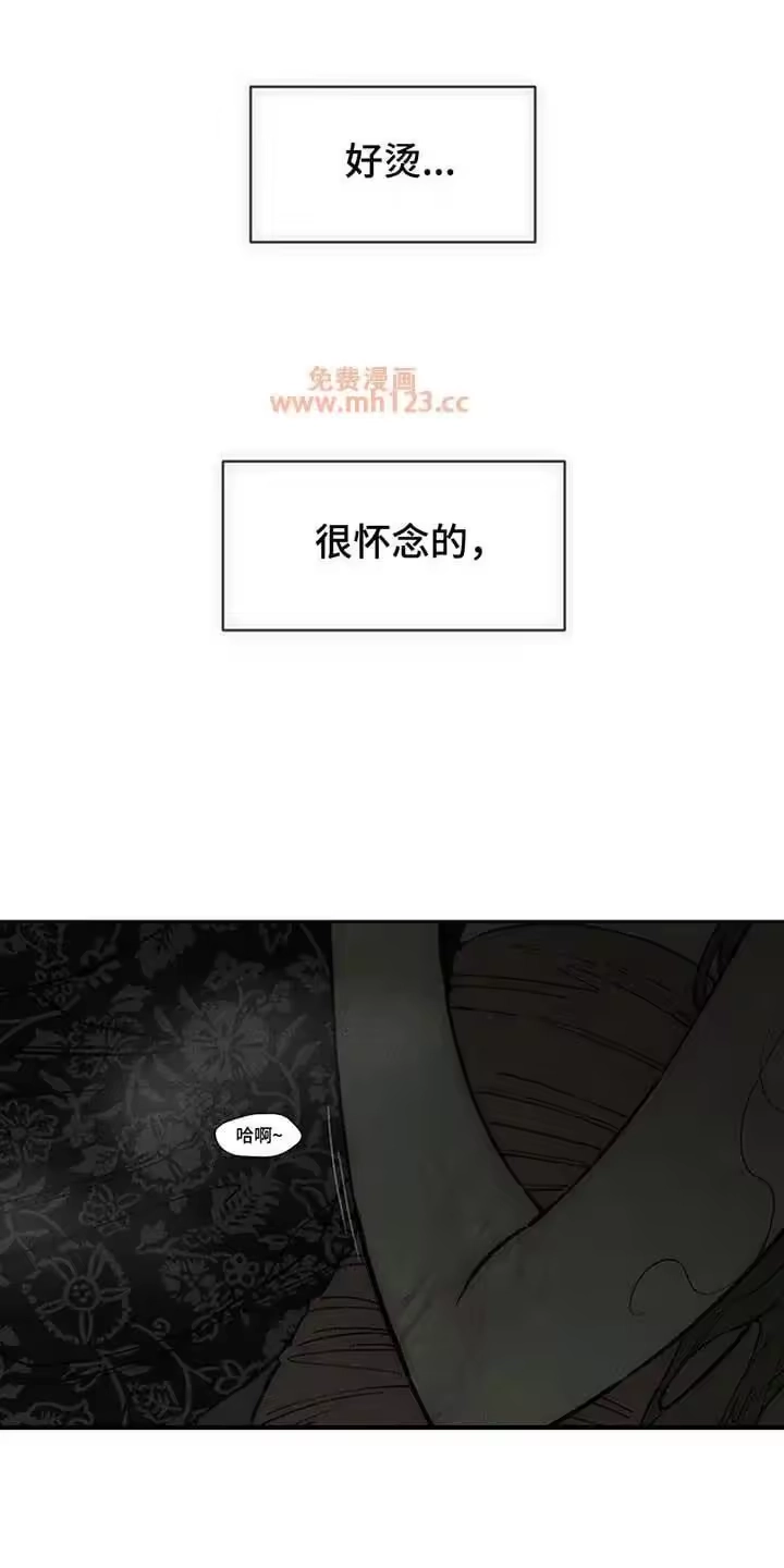 枯萎的花伤心的泪_h 第242章：故意不给我看 第9页