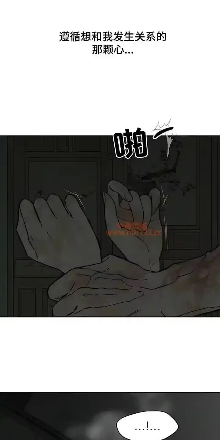 枯萎的花伤心的泪_h 第243章：温暖 第13页