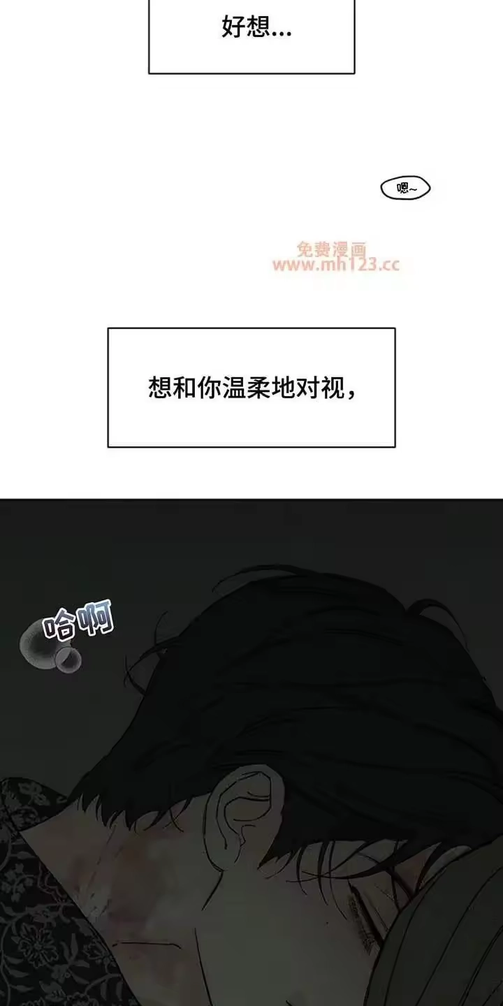 枯萎的花伤心的泪_h 第243章：温暖 第2页