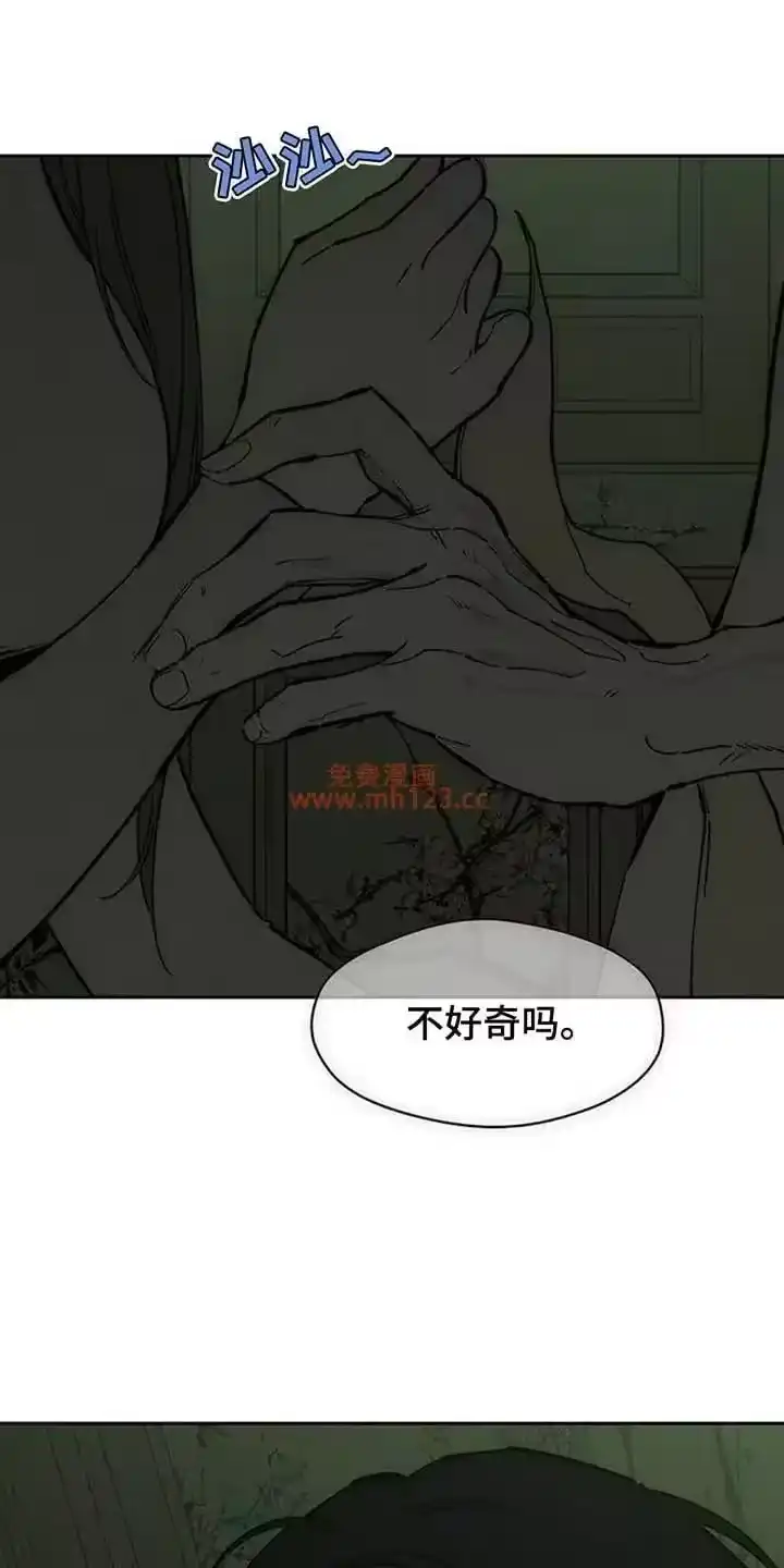 枯萎的花伤心的泪_h 第244章：不好奇吗 第24页