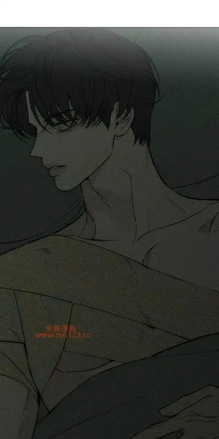 枯萎的花伤心的泪_h 第245章：我们同居吧 第17页