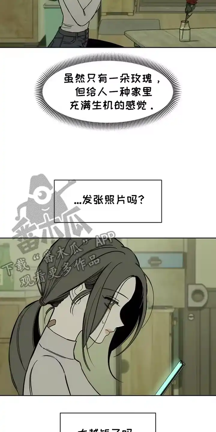 枯萎的花伤心的泪_h 第32章：一朵花 第14页
