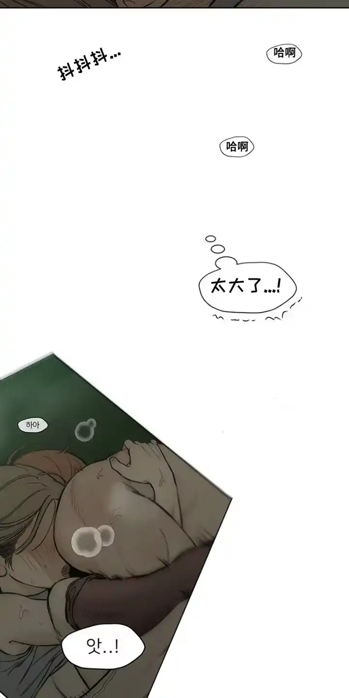 枯萎的花伤心的泪_h 第34章：注定 第17页