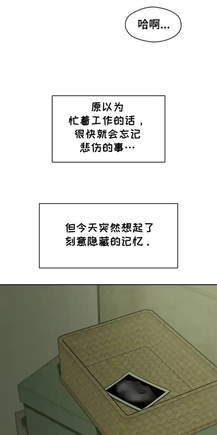 枯萎的花伤心的泪_h 第35章：抑制 第13页
