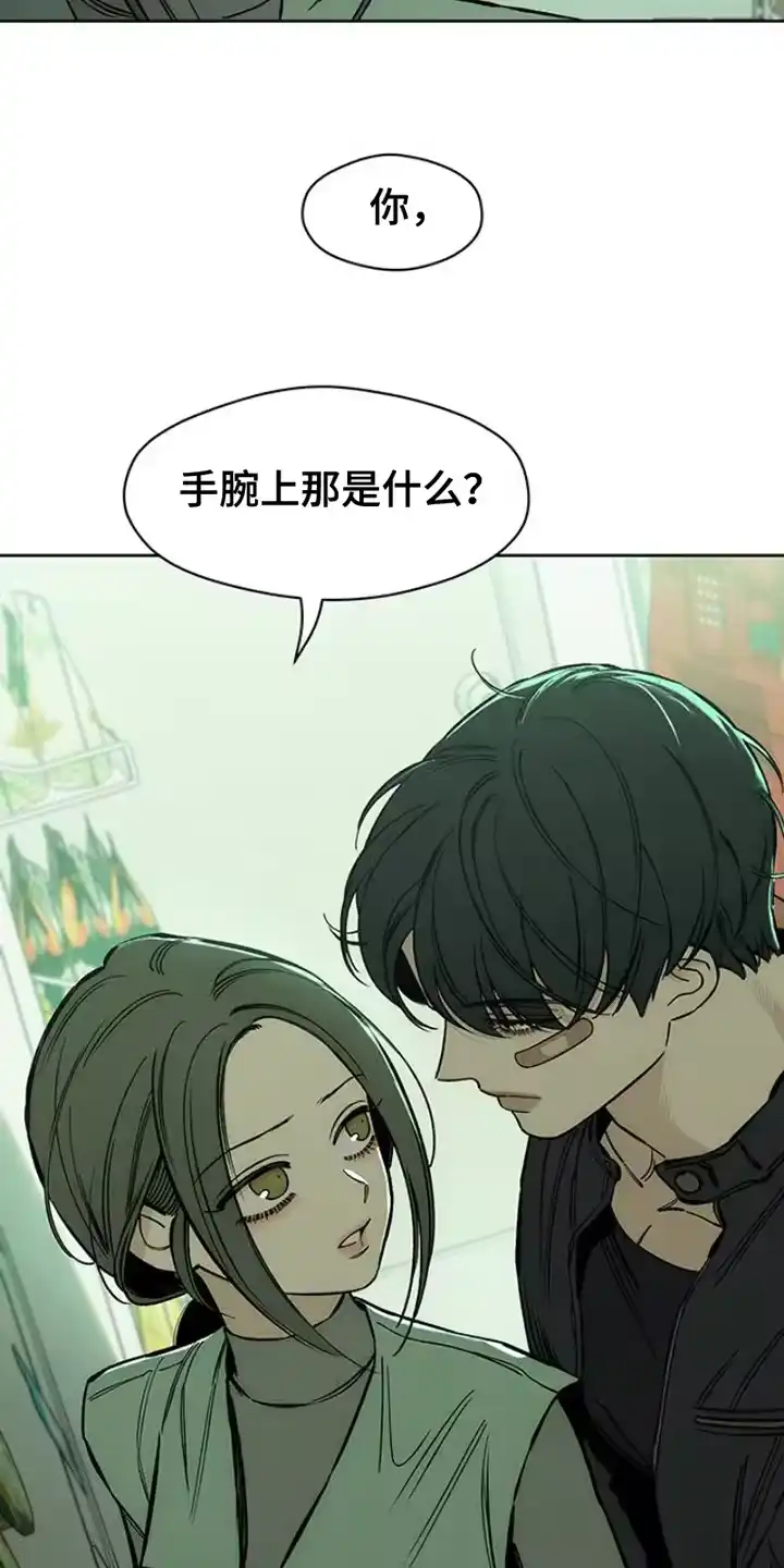 枯萎的花伤心的泪_h 第36章：手腕上是什么 第25页