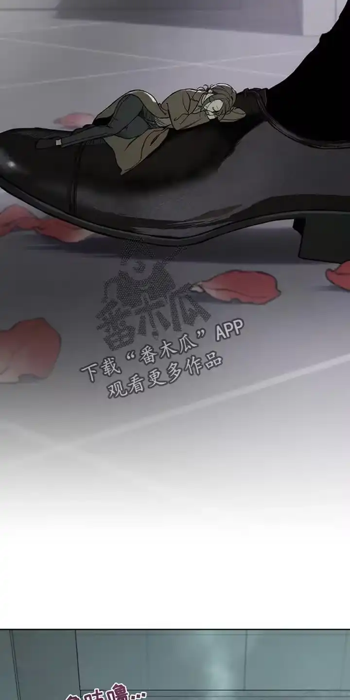 枯萎的花伤心的泪_h 第47章：现在有点着急 第14页