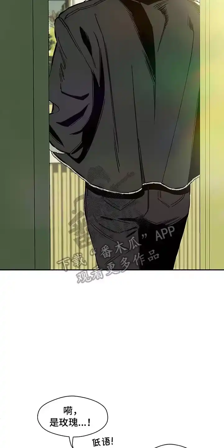 枯萎的花伤心的泪_h 第4章：玫瑰 第2页
