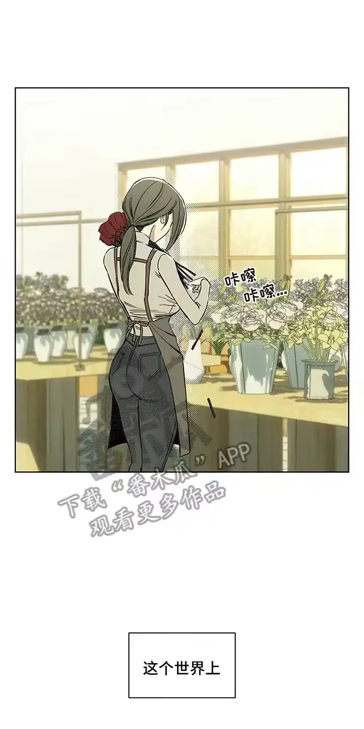 枯萎的花伤心的泪_h 第4章：玫瑰 第20页