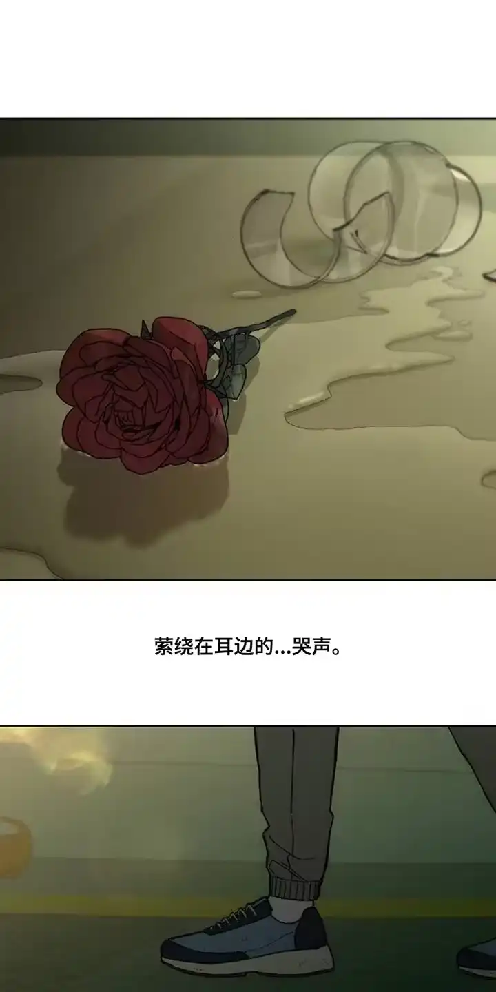枯萎的花伤心的泪_h 第51章：我的初恋 第17页