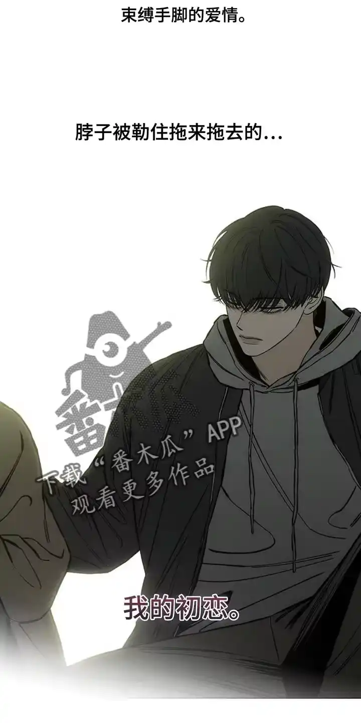 枯萎的花伤心的泪_h 第51章：我的初恋 第27页
