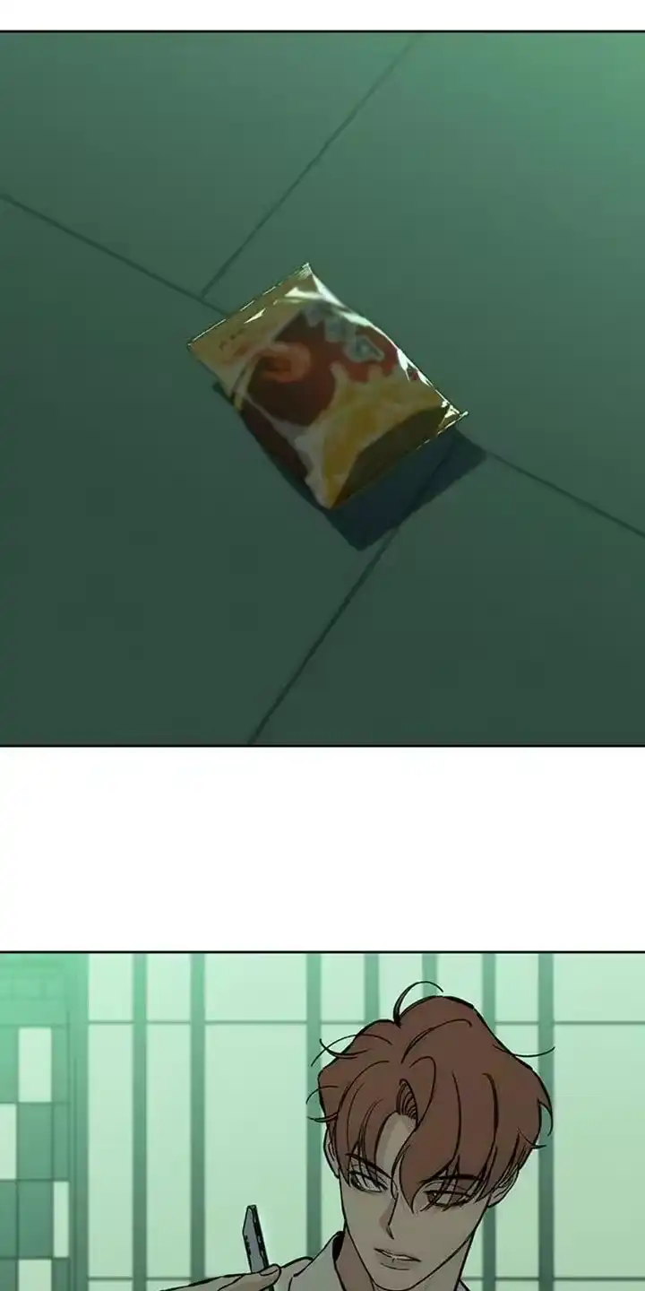 枯萎的花伤心的泪_h 第56章：回来了 第12页