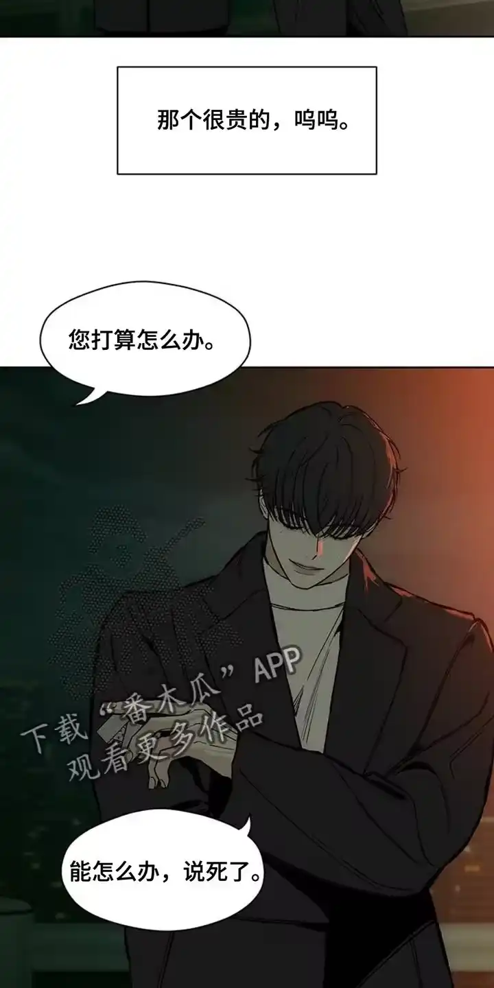枯萎的花伤心的泪_h 第56章：回来了 第7页