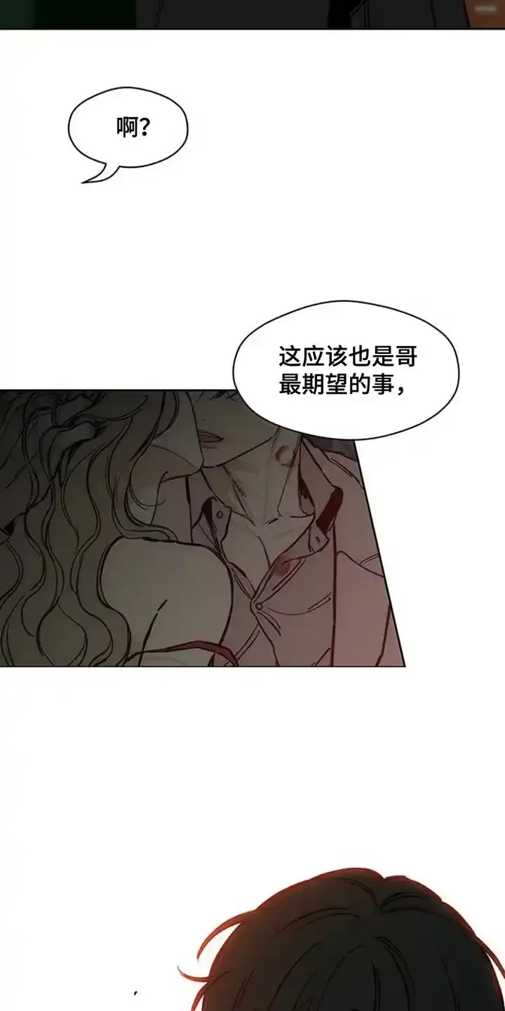 枯萎的花伤心的泪_h 第56章：回来了 第8页