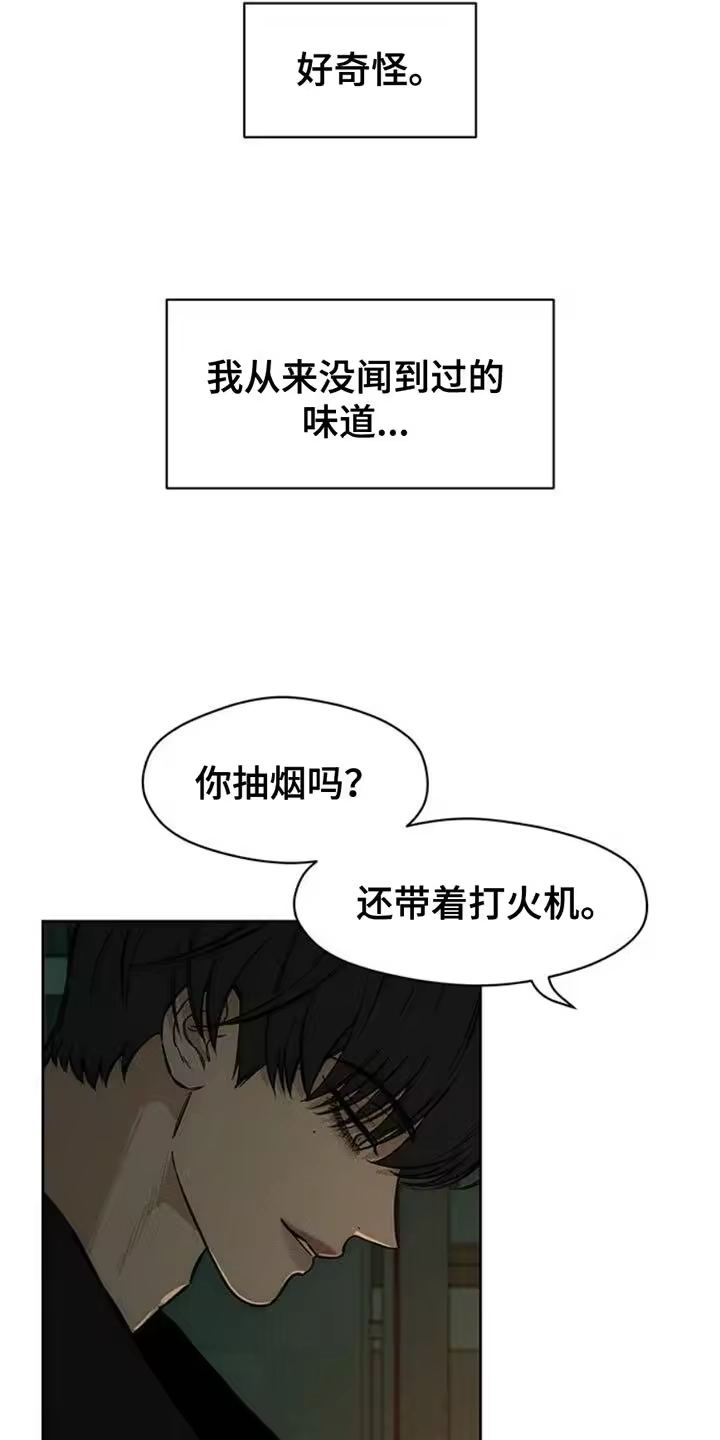 枯萎的花伤心的泪_h 第58章：有更多好东西 第22页