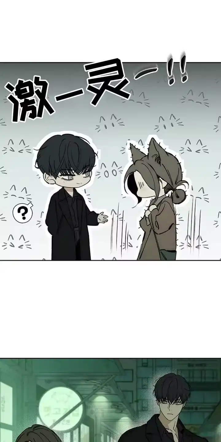 枯萎的花伤心的泪_h 第63章：不好奇 第13页