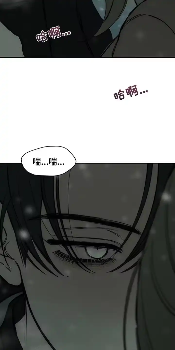 枯萎的花伤心的泪_h 第76章：比得上我吗 第21页