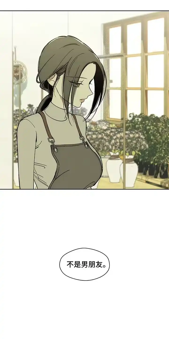 枯萎的花伤心的泪_h 第8章：单身 第3页