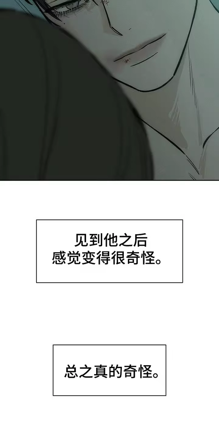 枯萎的花伤心的泪_h 第98章： 变得奇怪 第15页