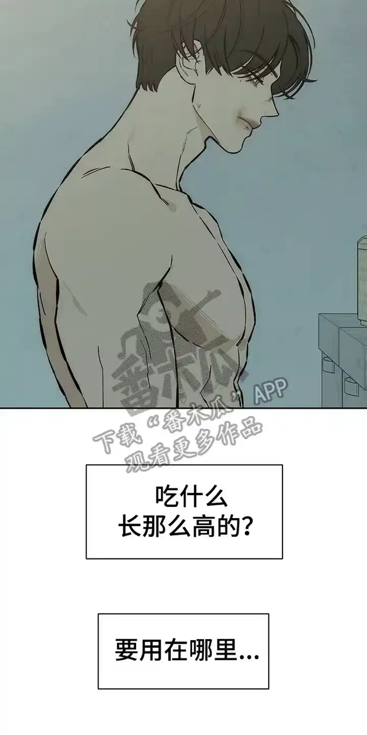 枯萎的花伤心的泪_h 第99章：下厨 第23页