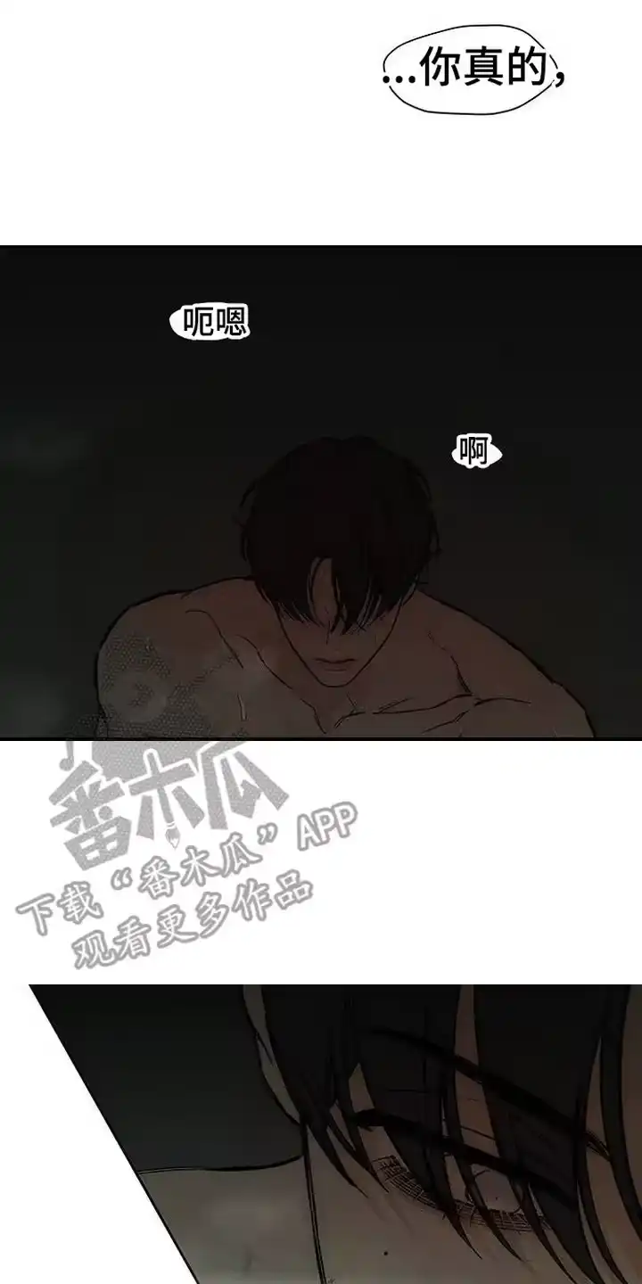 枯萎的花伤心的泪_h 第95章：陌生的感觉 第20页