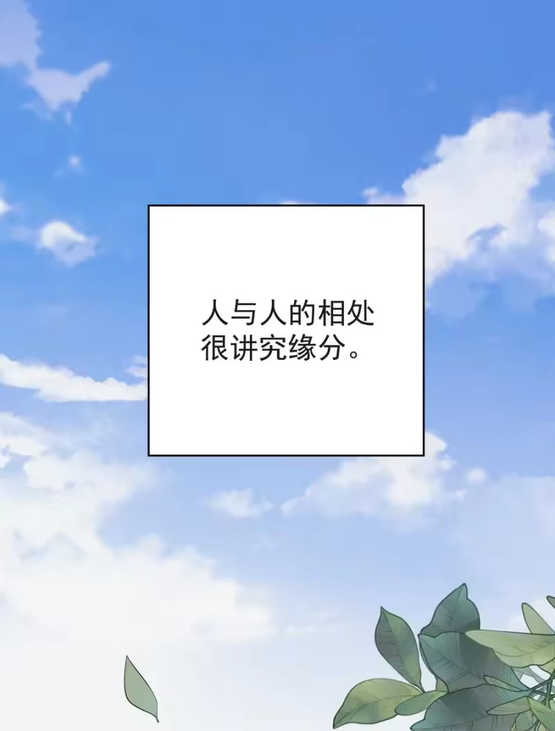 昨日如死_h 001 我的金主爸爸失忆了 第3页