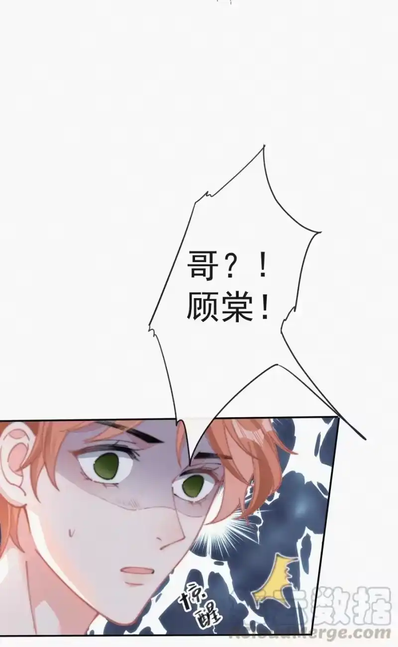 昨日如死_h 035 他曾捧出真心 第19页