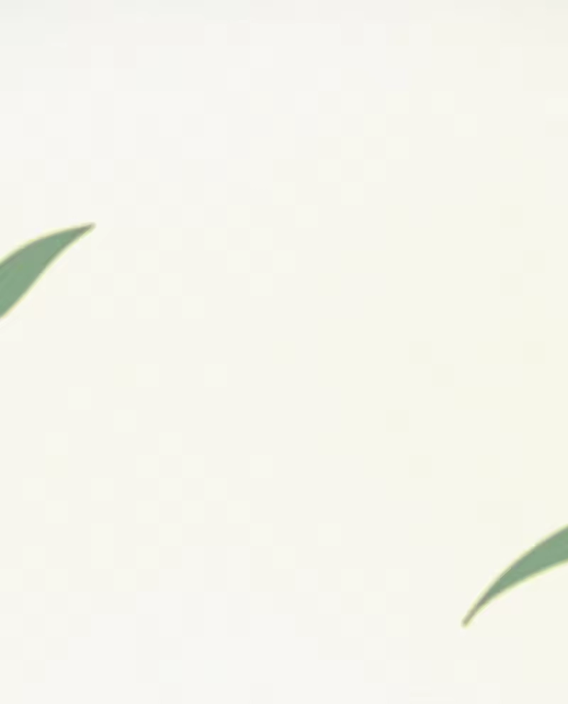 昨日如死_h 005 协议的真相 第59页