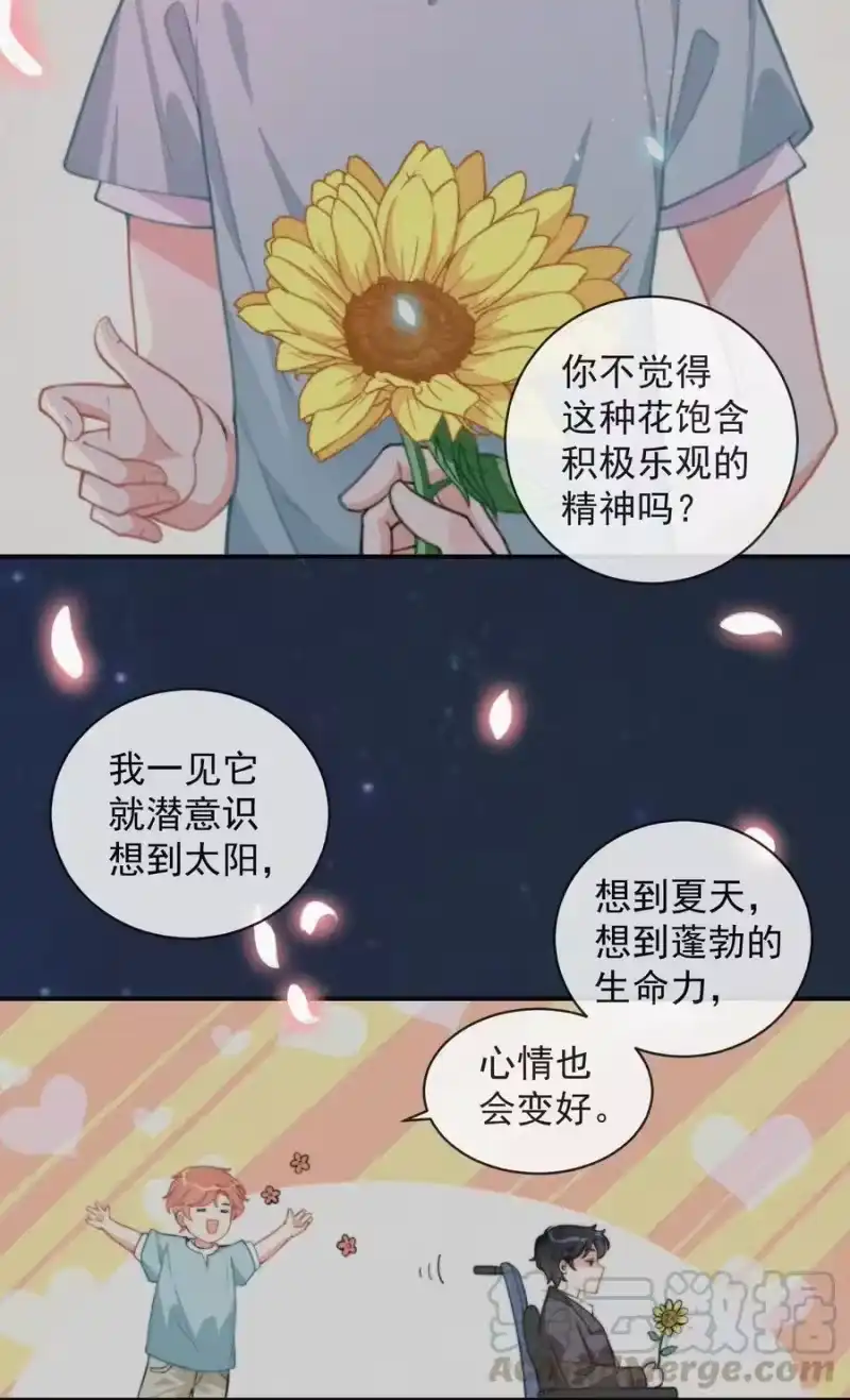 昨日如死_h 008 别让他乱来 第13页